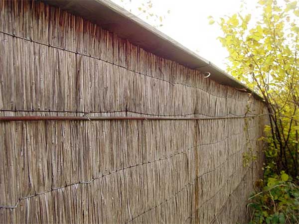 reed panels screen timber wooden walls windbreak against panel screens weathering bevelled edges protection construction sichtschutz terrace hiss reet